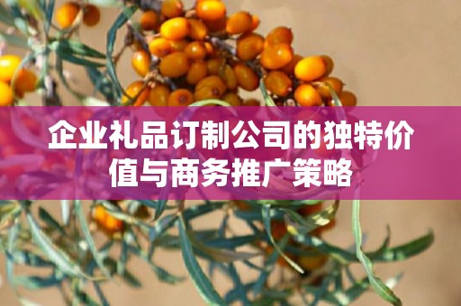 企业礼品订制公司的独特价值与商务推广策略